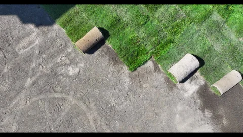 Professional Landscaper Installing Sod in a Backyard Video stock 276691308