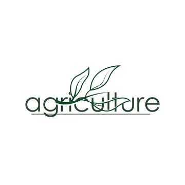 Professional Leaf Logo Identity For Environmental Friendly Businesses Stockillustratie