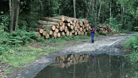 A professional logger keeps records of logs felled in the forest Stock Footage 134998190