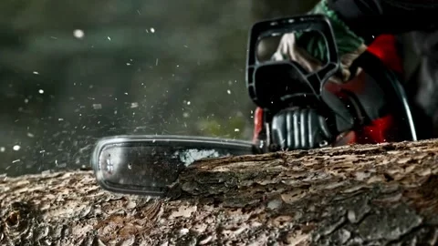 Professional lumberjack cuts tree with a chainsaw in a woods, Deforestation, Stock Footage 336570345
