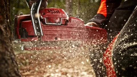 Professional lumberjack cuts tree with a chainsaw in a woods, Deforestation, 库存影片 336570400