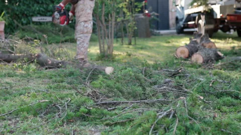 Professional lumberjack using electric chainsaw for cutting felled tree branches Stock Footage 162762727