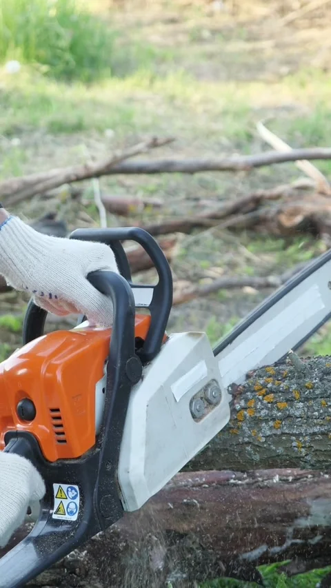 Professional lumberjack wearing protective gloves using a powerful chainsaw to Stock Footage 341283007