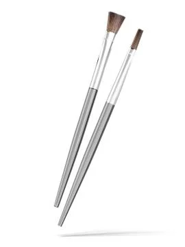 Professional makeup brush 库存插图