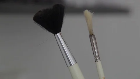 Professional makeup brush set Stock Footage 73444814