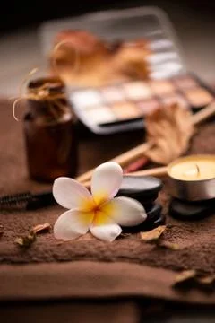 Professional makeup brushes and tools, natural make-up products set on white  Stock Photos