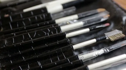 Professional Makeup Brushes Stock Footage