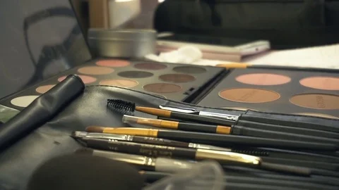 Professional makeup brushes in a leather bag. Using a make up palette with brush Stock Footage 78074919
