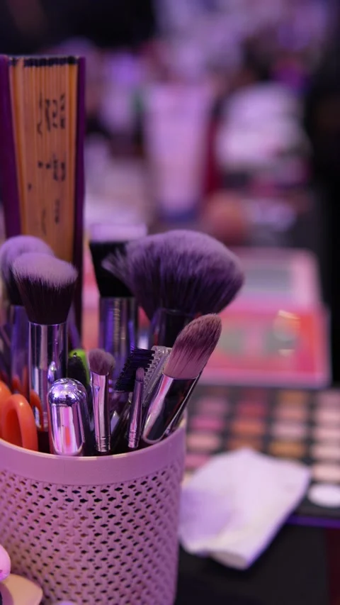 Professional Makeup Brushes Organized in Holder at Beauty Salon Stock Footage 342322361