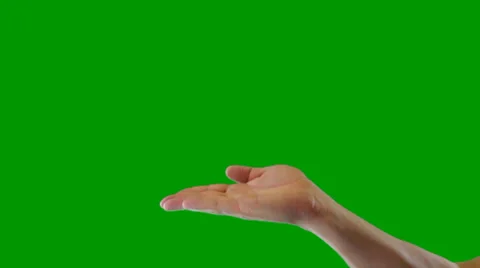 Professional Male Hand Model Presenting on a Green Screen Stock-Footage 33752700