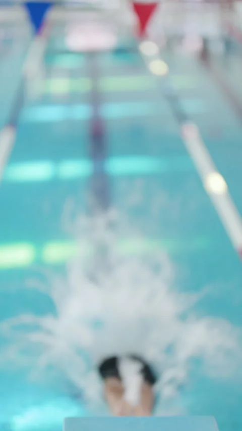Professional male swimmer diving into the pool Stock Footage 330066833