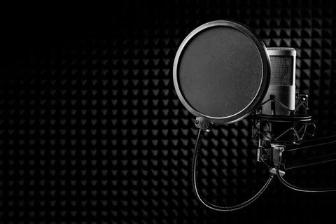 Professional microphone pop shield on the stand. Recording studio with nois.. 스톡 사진