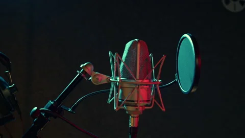 Professional microphone in recording studio Stockbeeldmateriaal 282954996