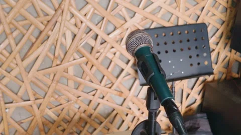 Professional microphone on stand in sound studio with wooden acoustic wall Video stock 343411176