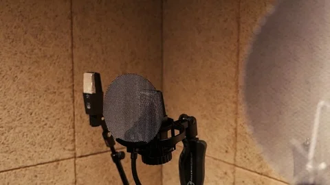 Professional microphone in the studio Stock Footage 102527985
