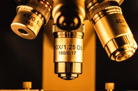 Professional microscope in laboratory, science equipment and medical tools .. Photos