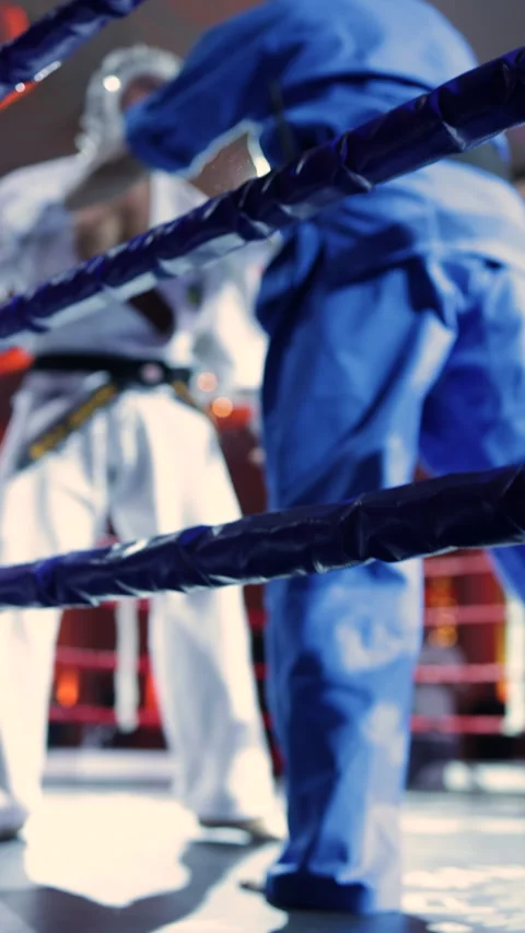Professional MMA Match in Ring Stock Footage 325087029