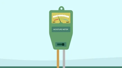 Professional moisture meter tool put in soil Stock Footage 157990022