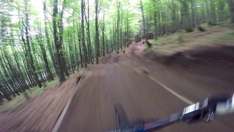 Professional Mountain Biker Racing Through A Beautiful Forest Over Jumps Video stock 78107555