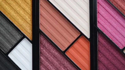 Professional multicolor eyeshadow palette. Makeup Stock Footage 237517197