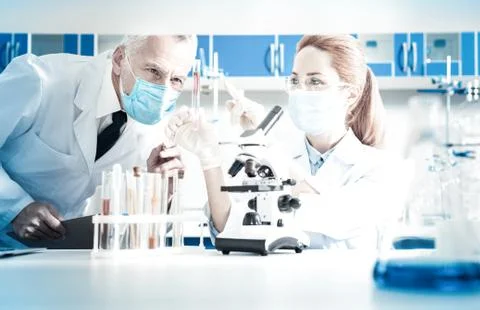 Professional nice scientists looking the test tube Foto stock