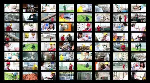 Professional Occupations - People at Work Stock Footage