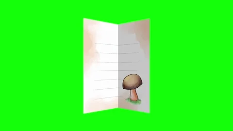 Professional Open Professional Green Screen Element Stock Footage 337990718