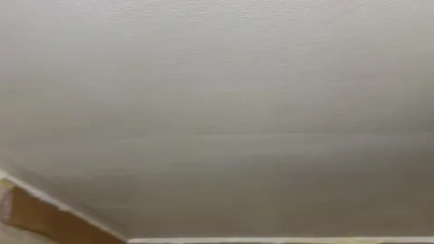 Professional painter applying white paint on a ceiling Stock Footage 341362975