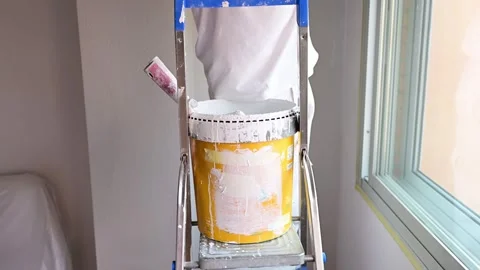 Professional painter renovating the walls of a room Stock Footage 341363391