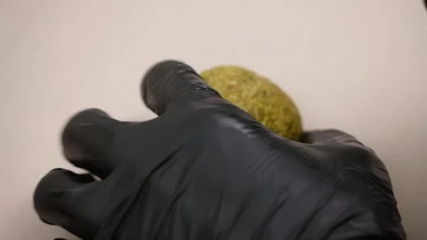 Professional Pastry Chef Hands in Black Gloves Decorating a Gourmet Mango Sphere Stock Footage 337751646