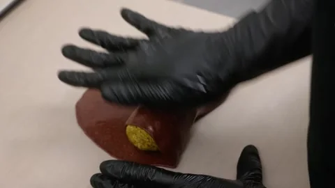Professional Pastry Chef Hands in Black Gloves Rolling Filled Chocolate Dough on Stock Footage 337751655