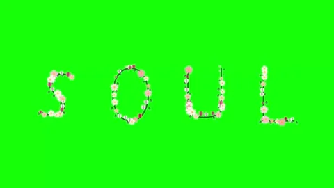 Professional People Walking Green Screen Element Stock Footage 337996726