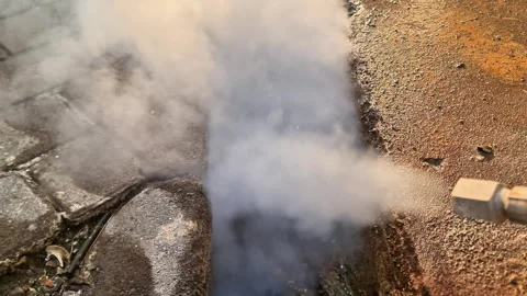 Professional Pest Control Worker Using Thermal Fogging Machine Stock Footage 347427422