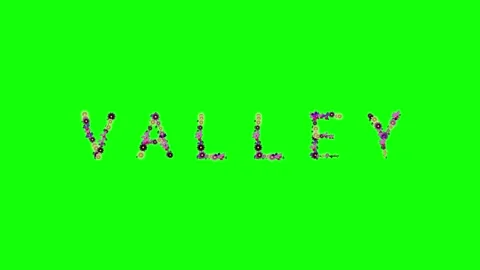 Professional Photo Dancing Green Screen Element Stock Footage 337996826