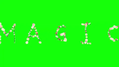 Professional Photo Floating Green Screen Element Stock Footage 337996536