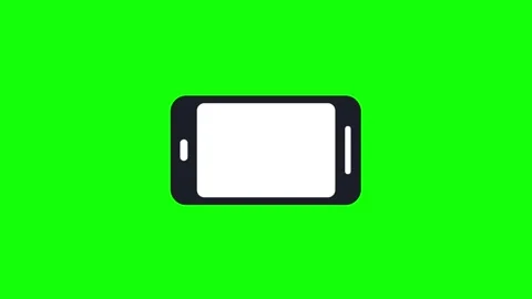 Professional Photo Green Screen Element 库存影片 342789395