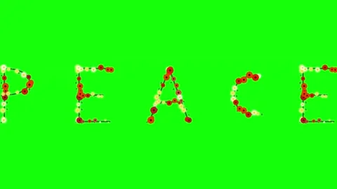 Professional Photo Looping Green Screen Element Stock Footage 337996631