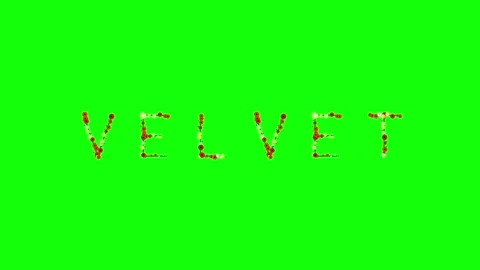 Professional Photo Looping Green Screen Element Stock Footage 337996847
