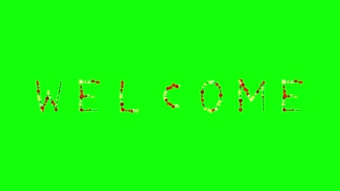Professional Photo Looping Green Screen Element Stock Footage 337996870