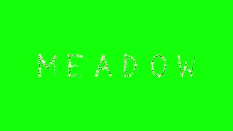 Professional Photo Standing Green Screen Element Stock Footage 337996557