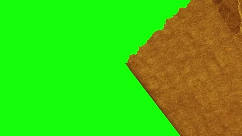 Professional Piece Looping Element Stock Footage 345498284