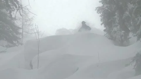 Professional Powder Skiing 50 fps 動画素材 10973117