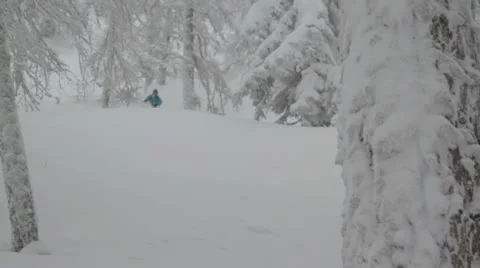 Professional Powder Skiing 50 fps 動画素材 10973122