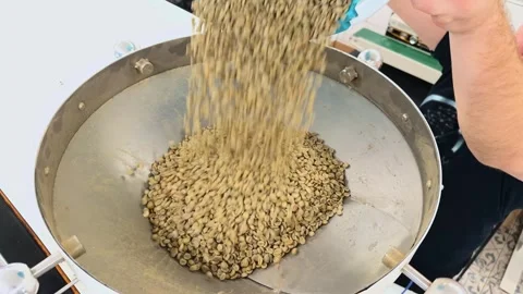 Professional Process of Loading Raw Green Coffee Beans into Industrial Roas.. 스톡 동영상 332155637
