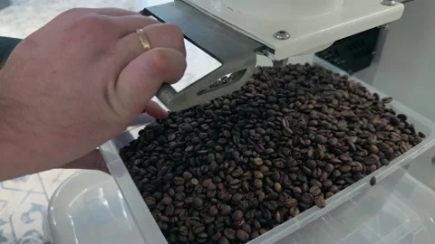 Professional Roaster Operator Filling Green Plastic Tray with Stream of Fre.. 스톡 동영상 332155633