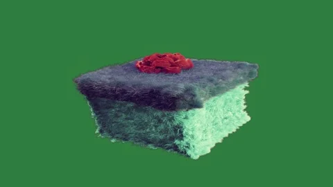Professional Rug Sitting Element Stock Footage 338017595