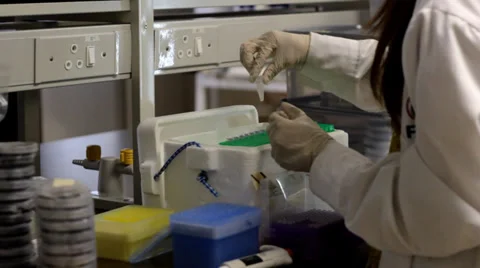 Professional scientist working at the biotech laboratory Видео 35965752