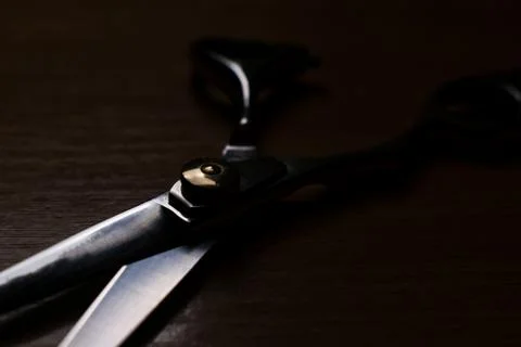 Professional scissors 写真素材