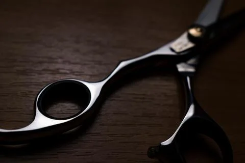 Professional scissors 写真素材