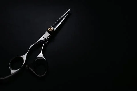 Professional scissors 库存照片